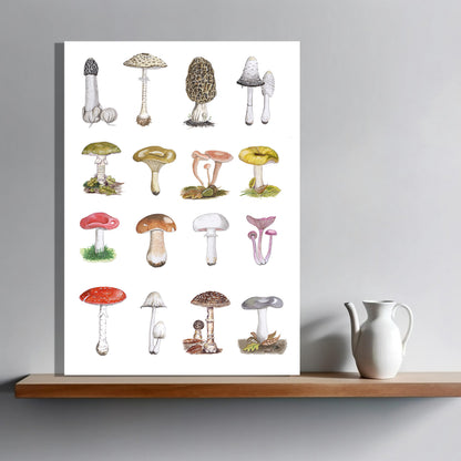 Wanddecoratie "Paddenstoelen"