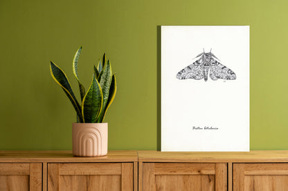 Wanddecoratie "Peper en zoutvlinder"