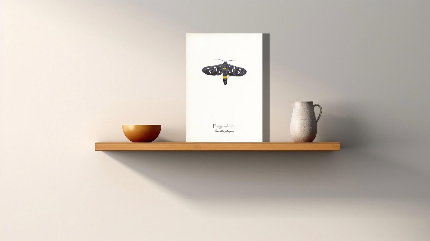 Wanddecoratie "Phegeavlinder"