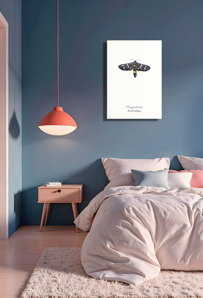Wanddecoratie "Phegeavlinder"