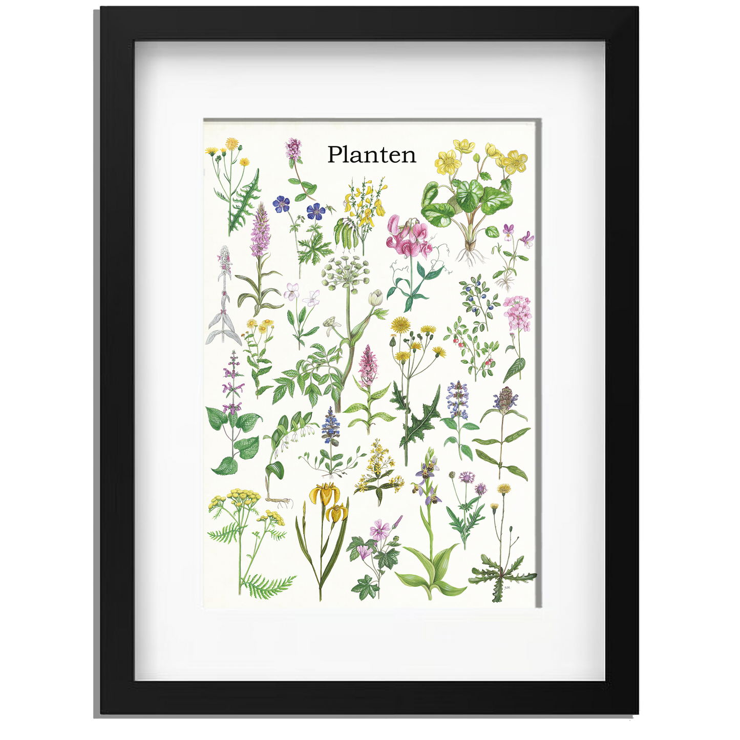 Ingelijst "Planten"