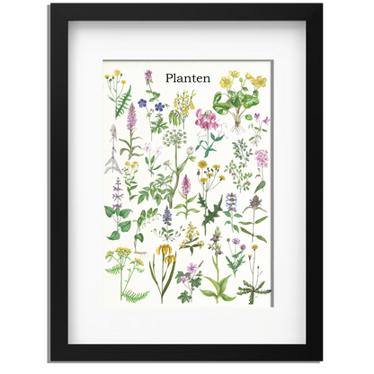 Ingelijst "Planten"