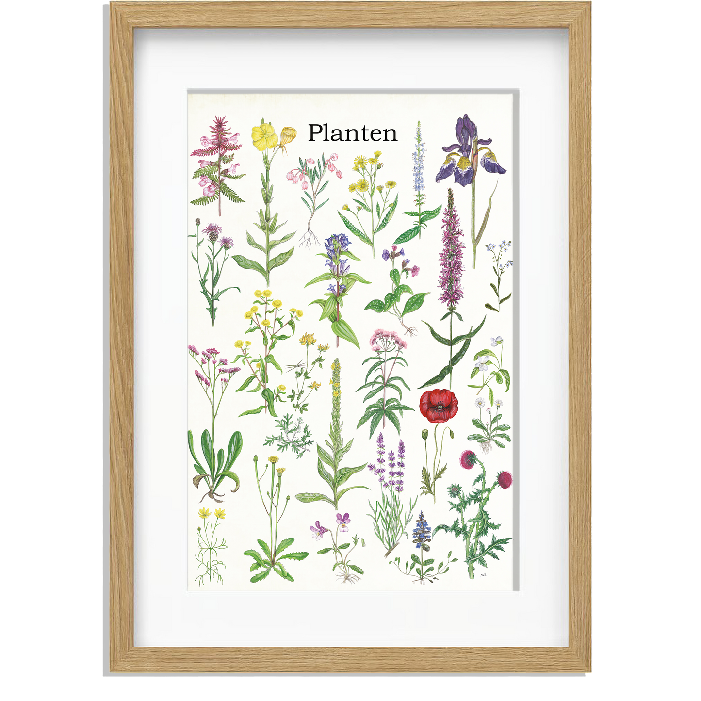 Ingelijst "Planten 2"