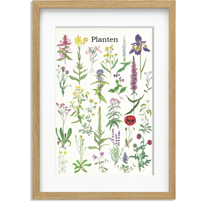 Ingelijst "Planten 2"