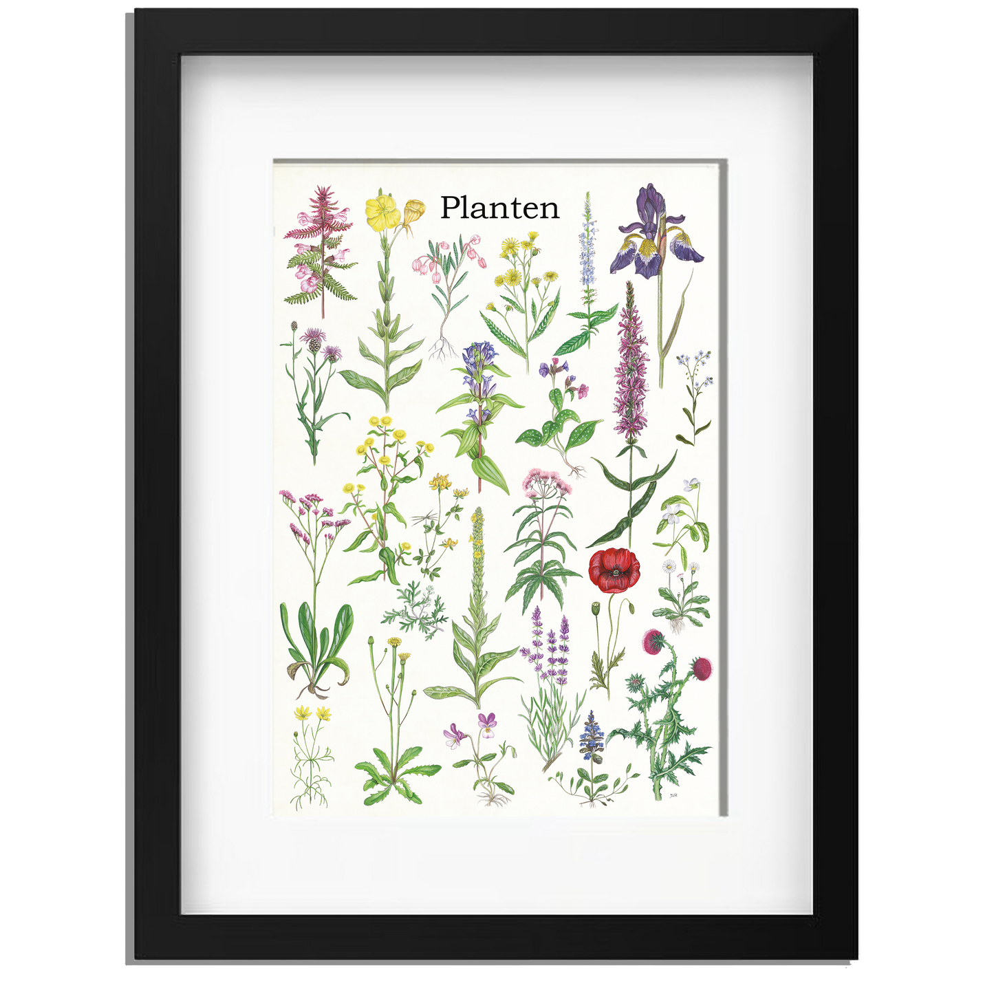 Ingelijst "Planten 2"