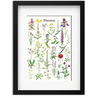 Ingelijst "Planten 2"