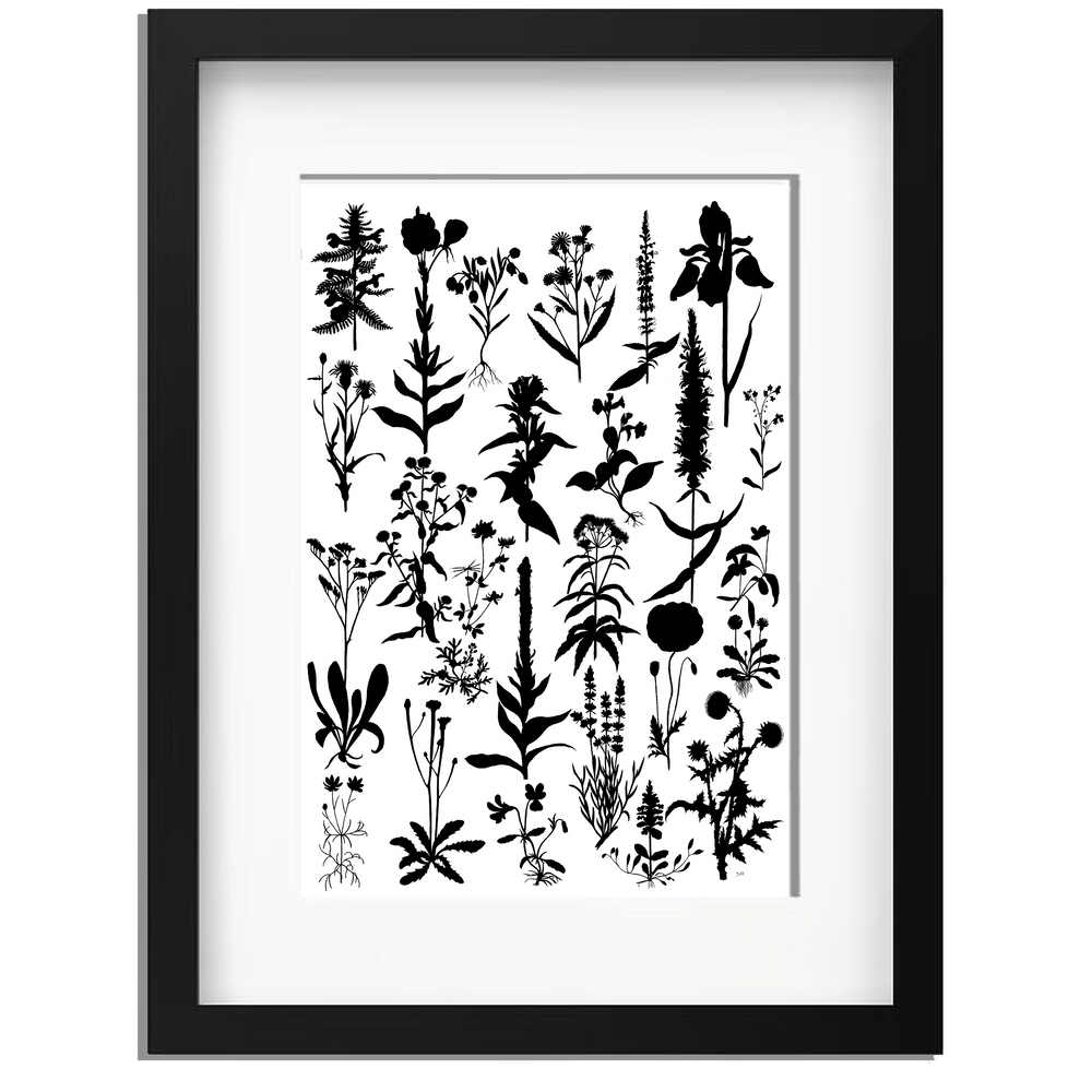 Ingelijst "Planten 2 in zwartwit"