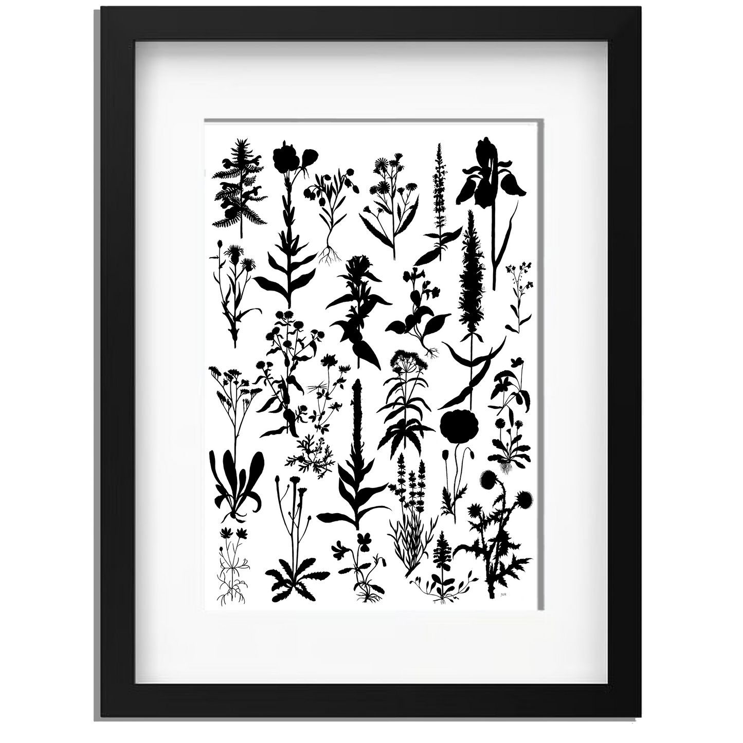 Ingelijst "Planten 2 in zwartwit"