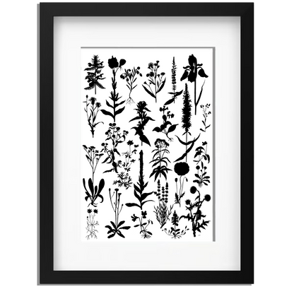 Ingelijst "Planten 2 in zwartwit"