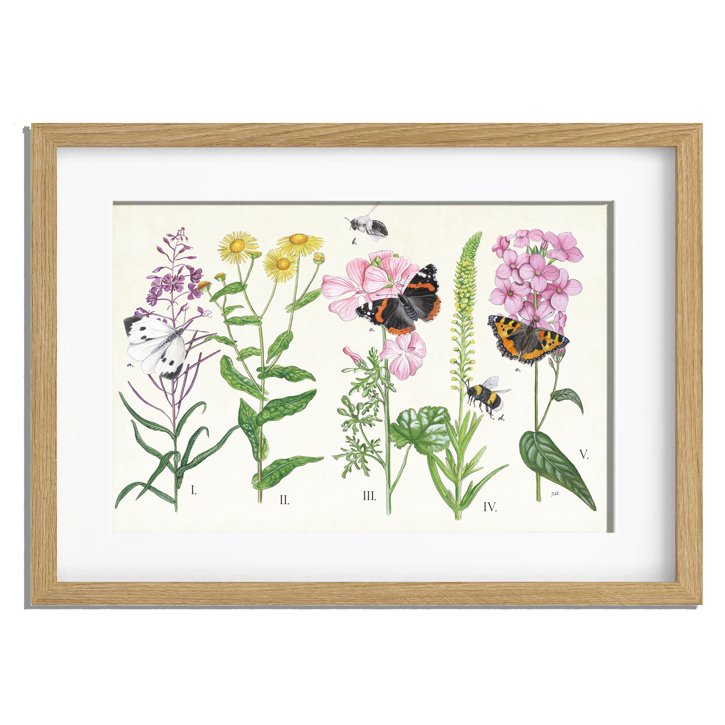 Ingelijst "Planten en haar insecten"