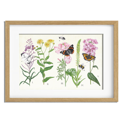 Ingelijst "Planten en haar insecten"