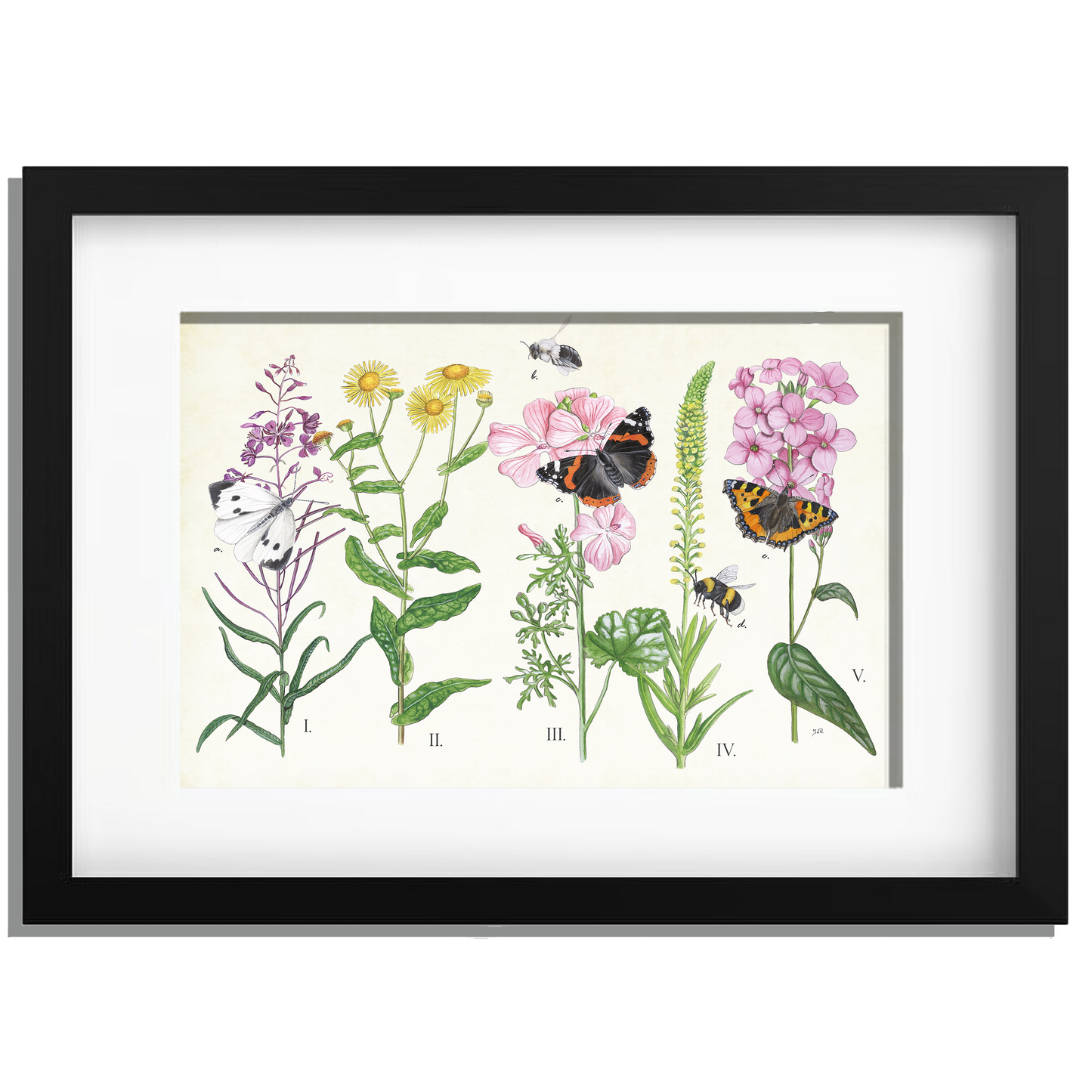 Ingelijst "Planten en haar insecten"