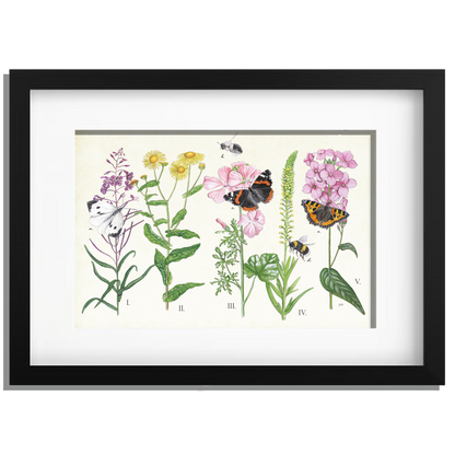 Ingelijst "Planten en haar insecten"