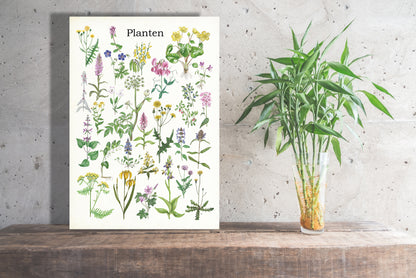 Wanddecoratie "Planten"