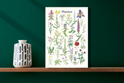 Wanddecoratie "Planten 2"