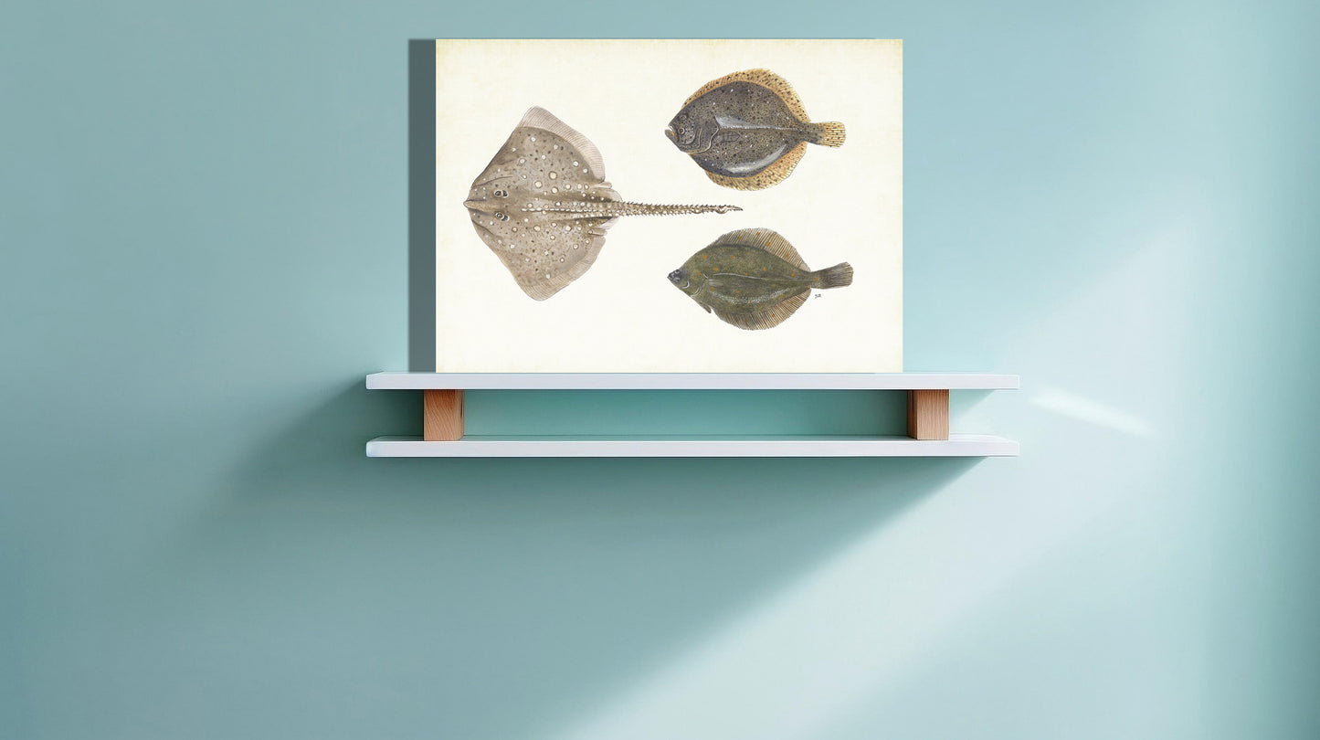 Wanddecoratie "Platvissen"