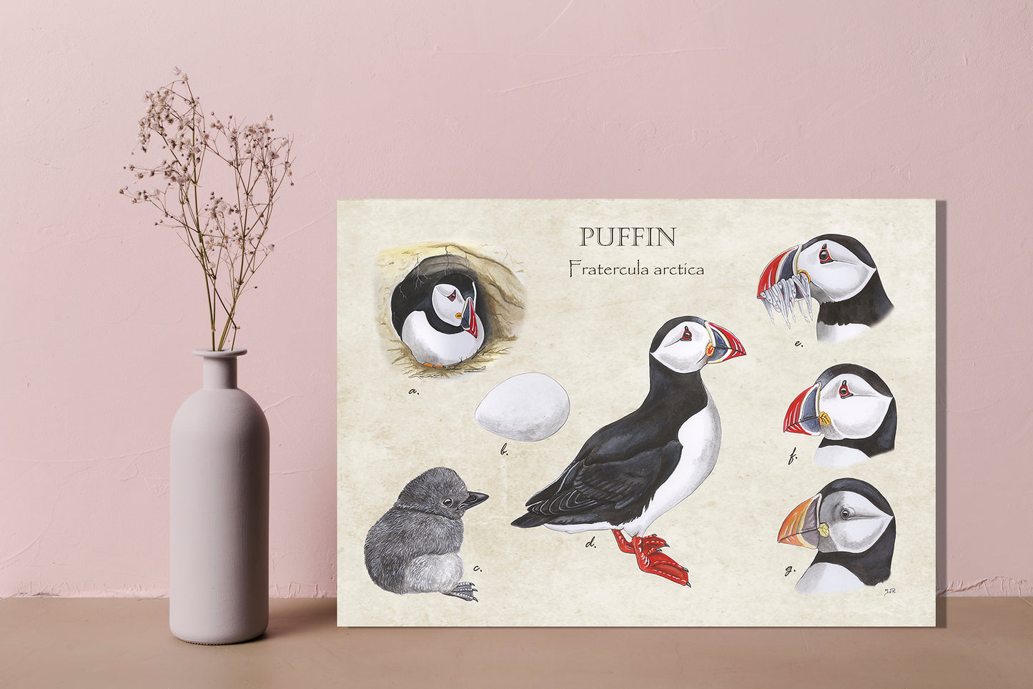 Wanddecoratie "Puffin"