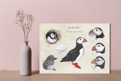 Wanddecoratie "Puffin"