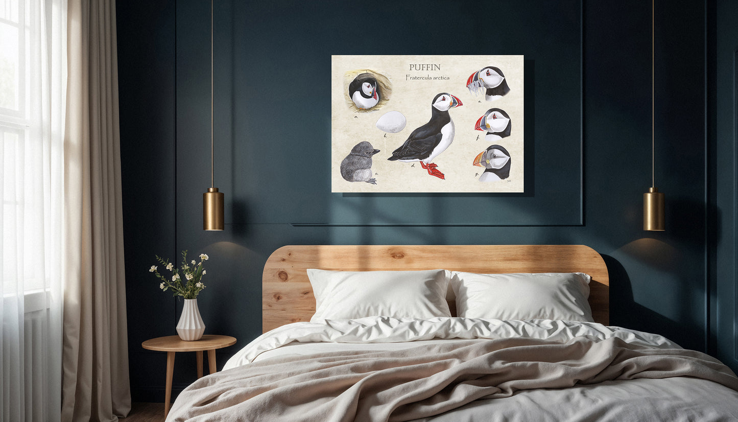 Wanddecoratie "Puffin"