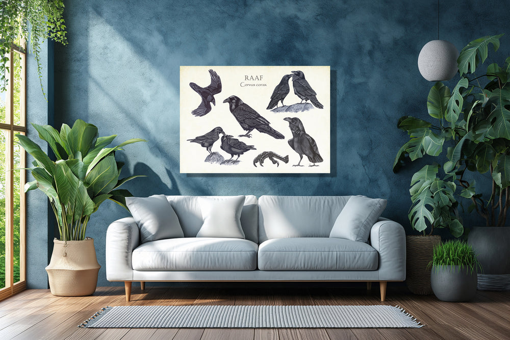 Wanddecoratie "Raaf, het leven van"