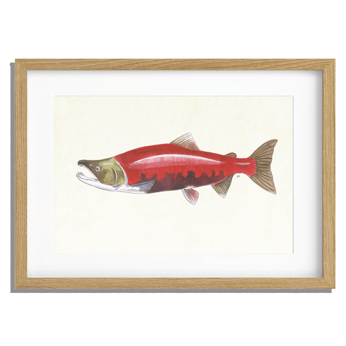 Ingelijst "Rode zalm"