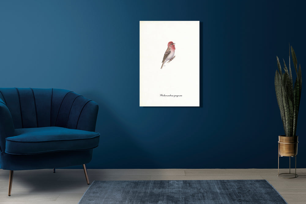 Wanddecoratie "Roodmus"