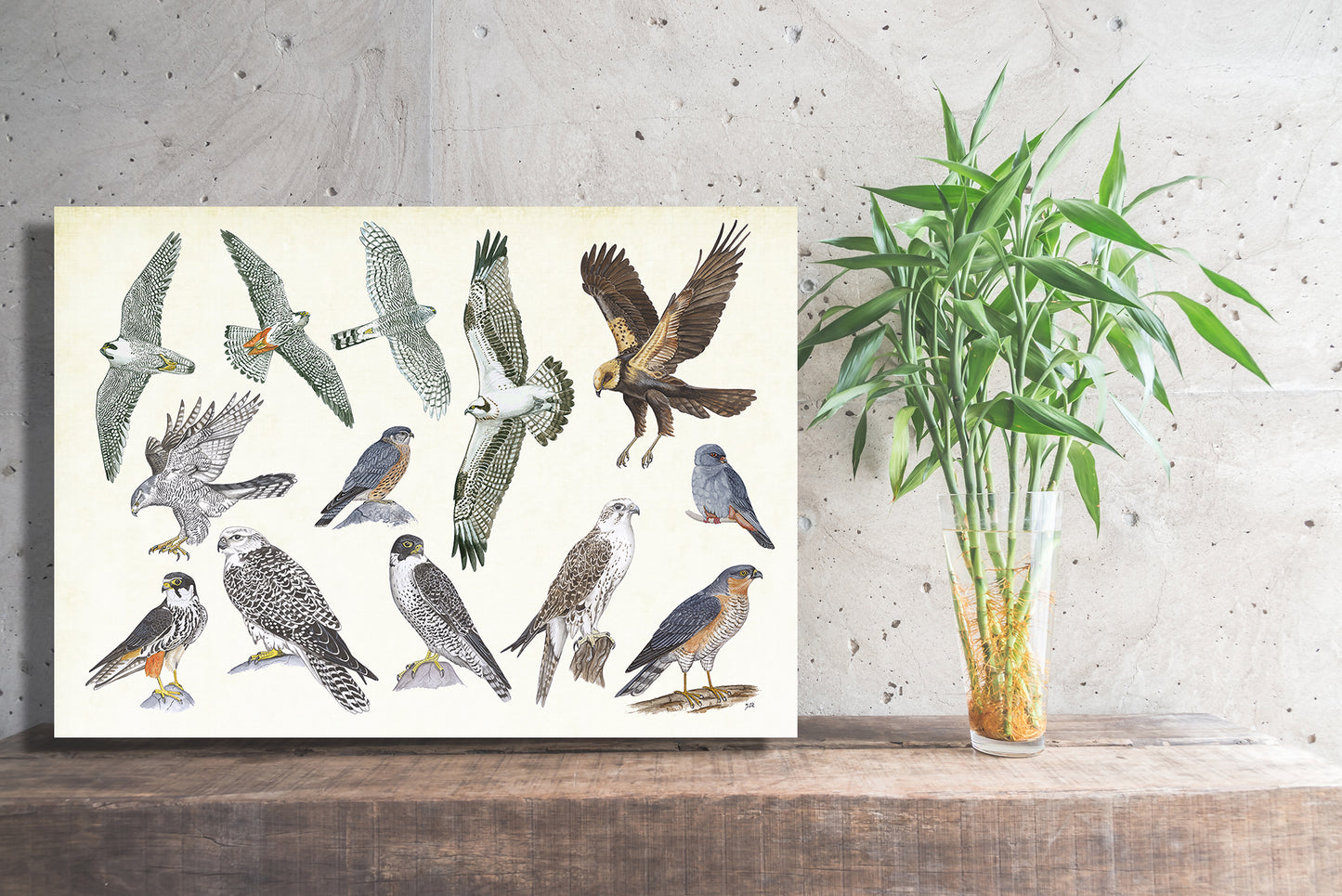 Wanddecoratie "Roofvogels"