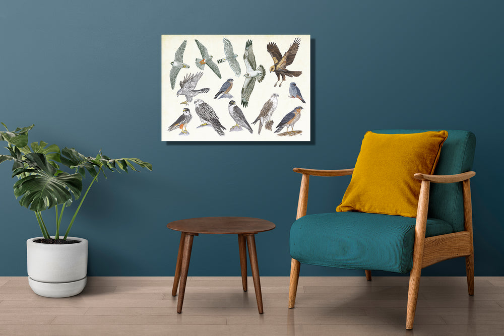 Wanddecoratie "Roofvogels"