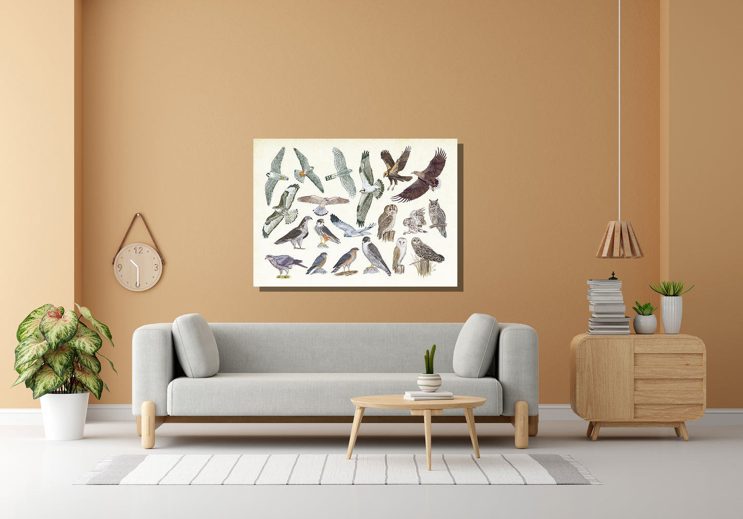 Wanddecoratie "Roofvogels en uilen"