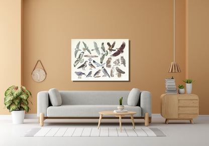 Wanddecoratie "Roofvogels en uilen"