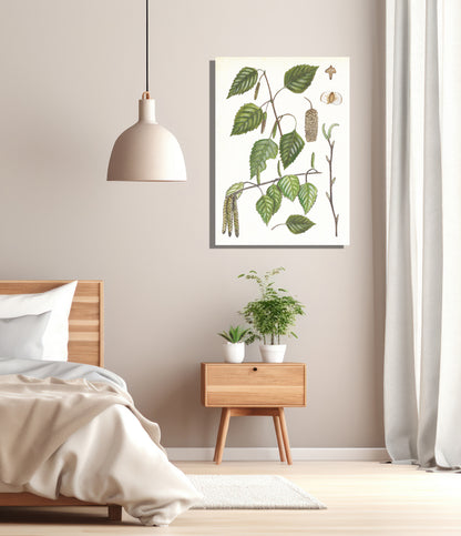 Wanddecoratie "Ruwe berk, het leven van"