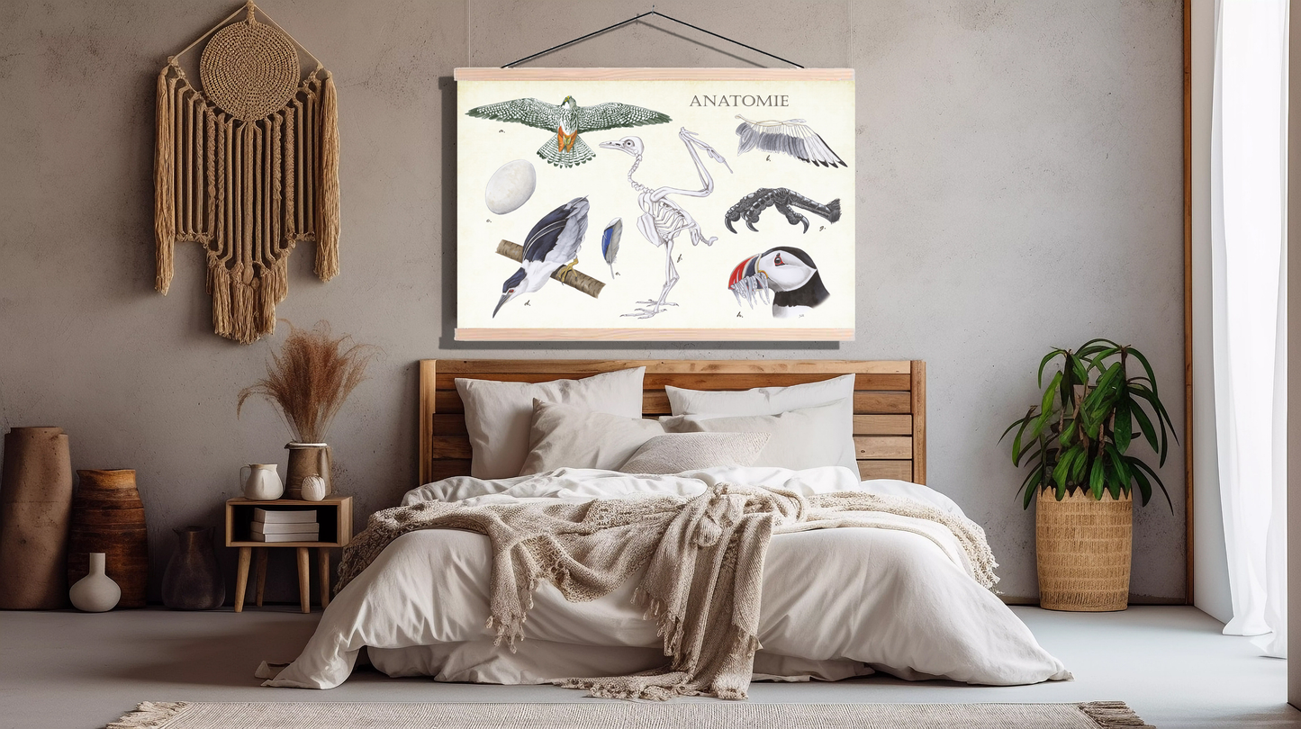 Schoolplaat "Anatomie Birds"