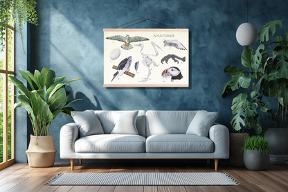 Schoolplaat "Anatomie Birds"