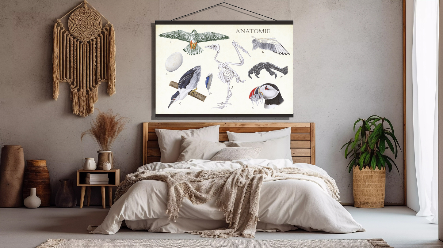 Schoolplaat "Anatomie Birds"
