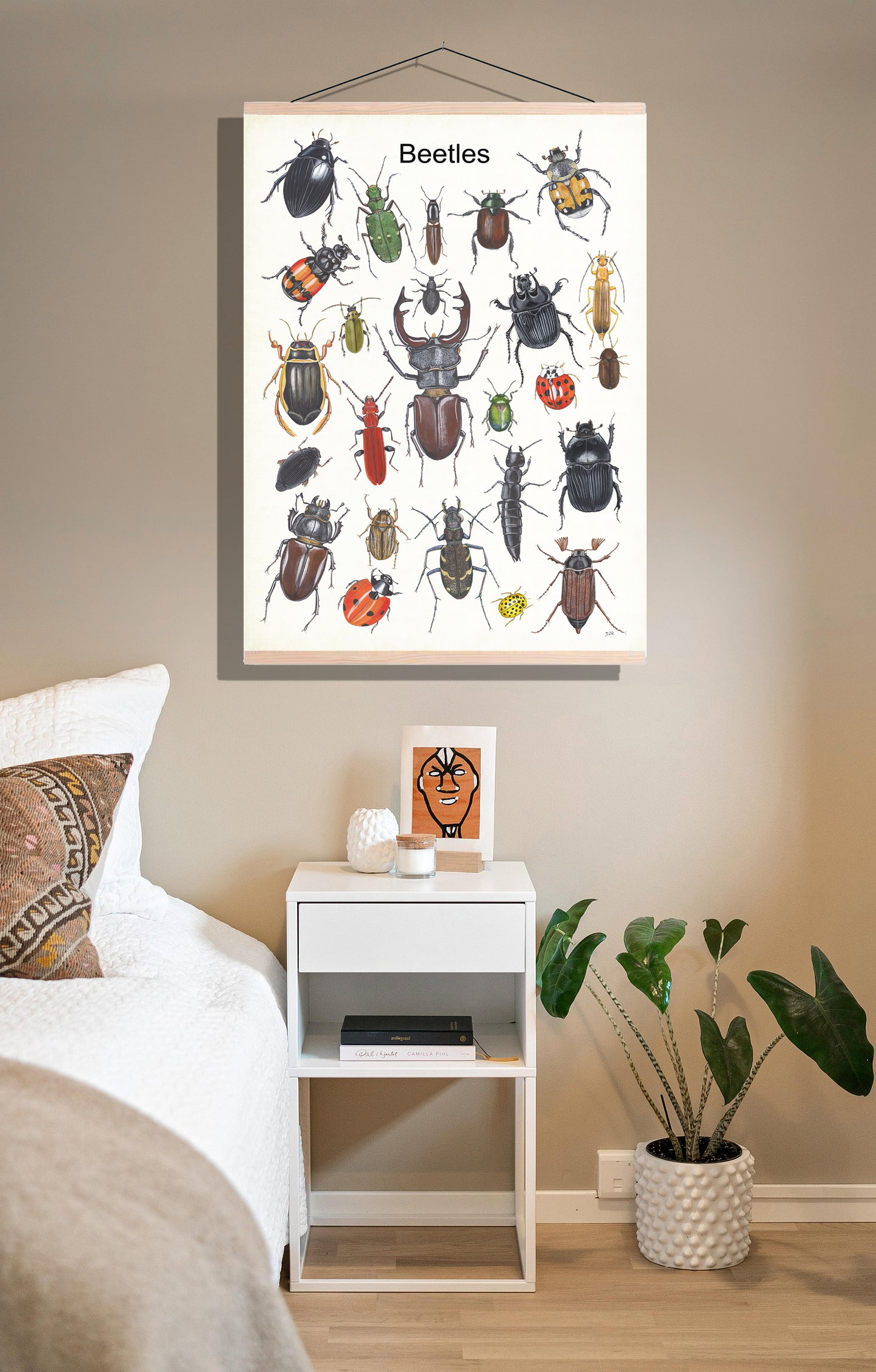 Schoolplaat "Beetles"