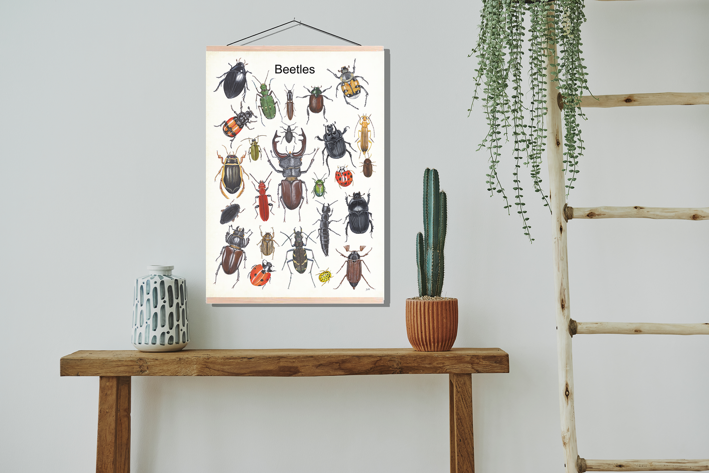 Schoolplaat "Beetles"