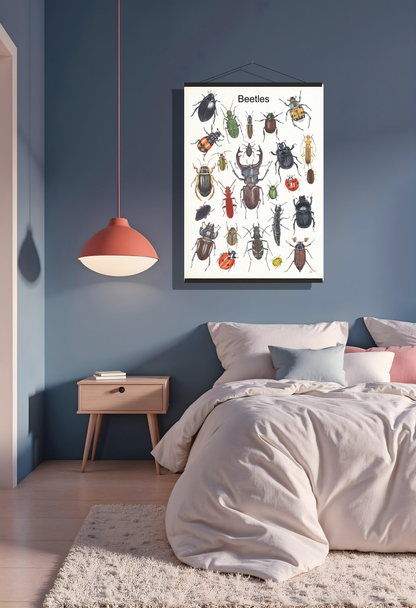 Schoolplaat "Beetles"