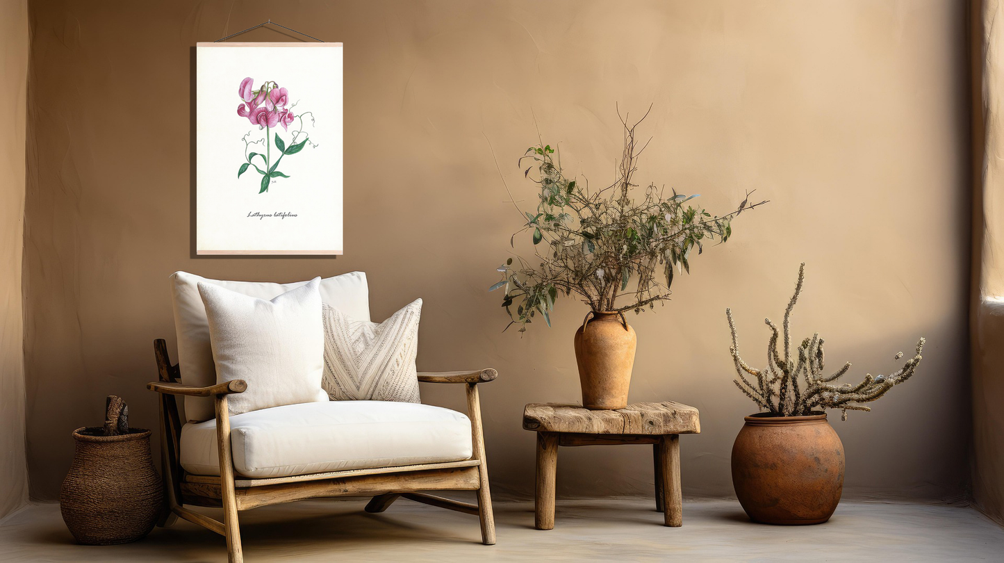 Schoolplaat "Brede lathyrus"