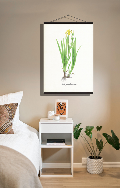 Schoolplaat "Gele lis"