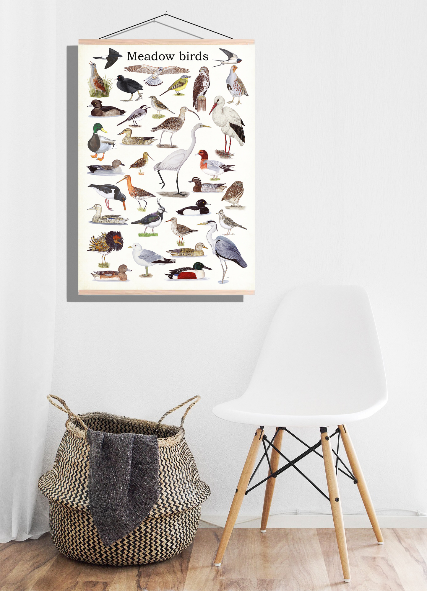 Schoolplaat "Meadow birds"