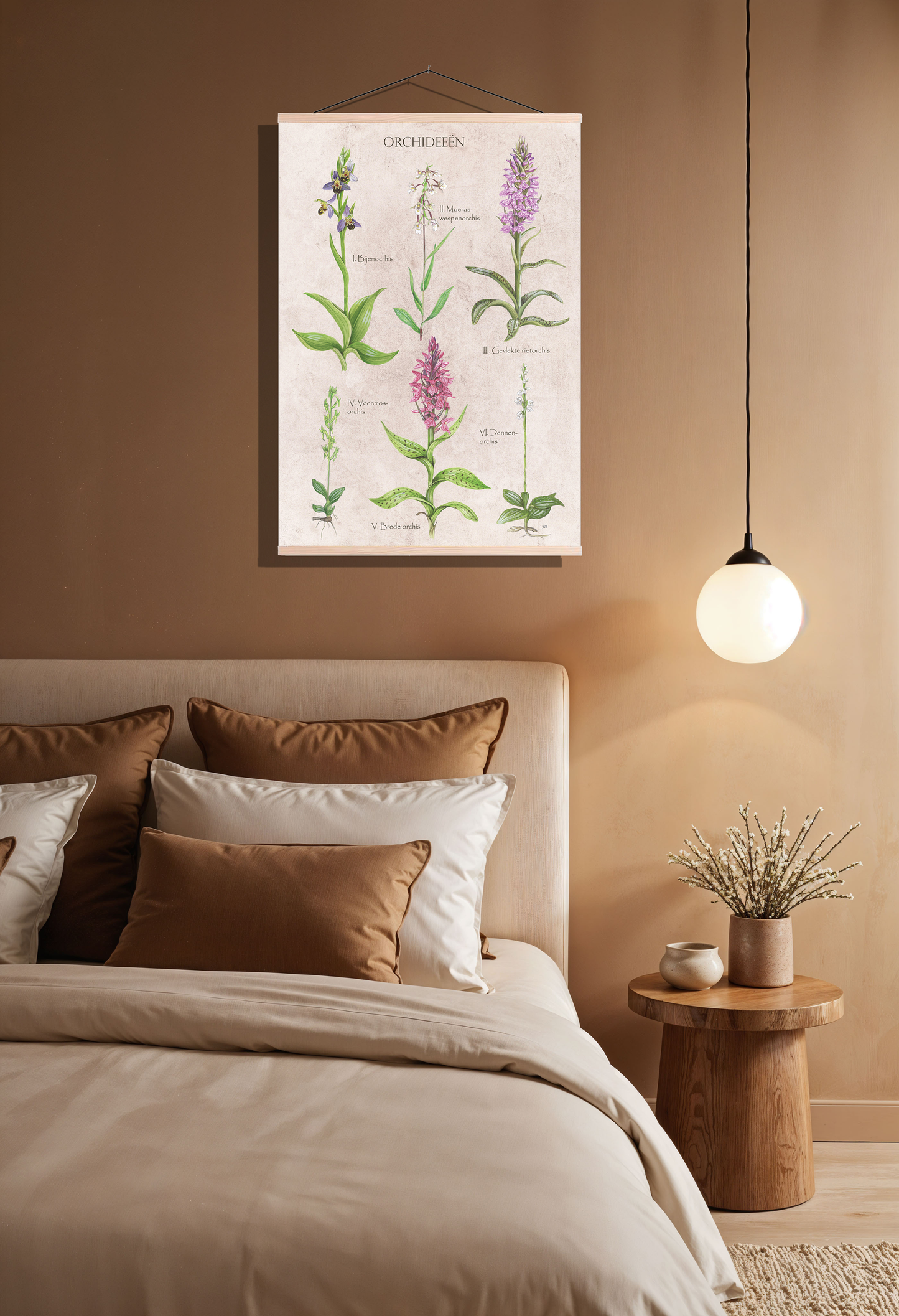 Schoolplaat "Orchideeën"