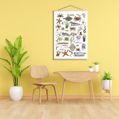 Schoolplaat "Sealife"