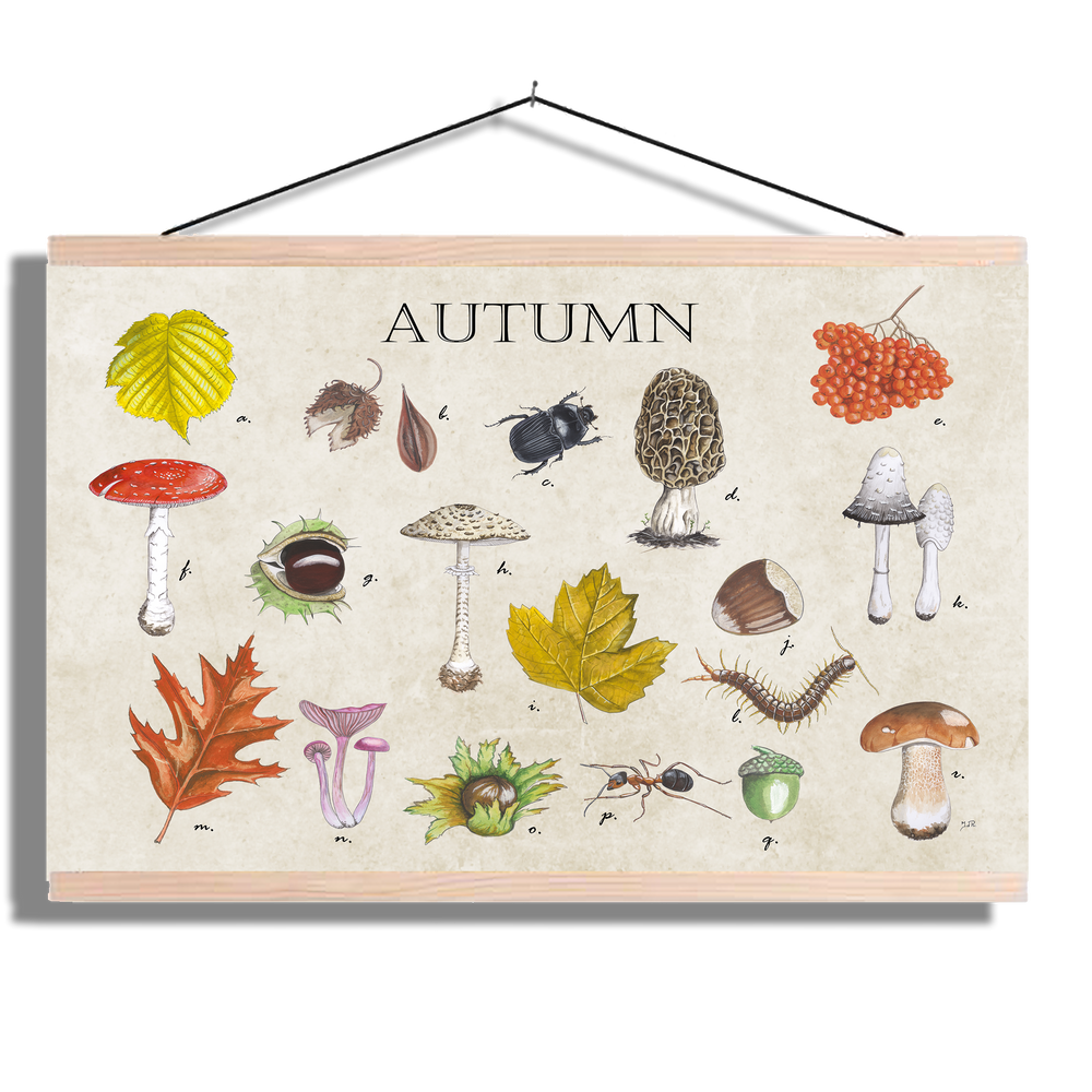 Schoolplaat "Autumn"