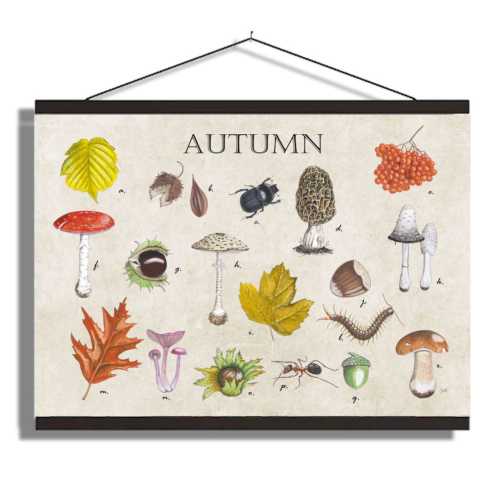 Schoolplaat "Autumn"