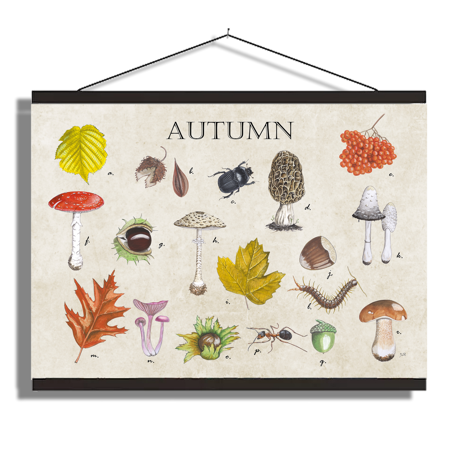 Schoolplaat "Autumn"