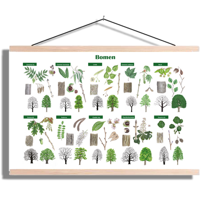 Schoolplaat "Bomen"