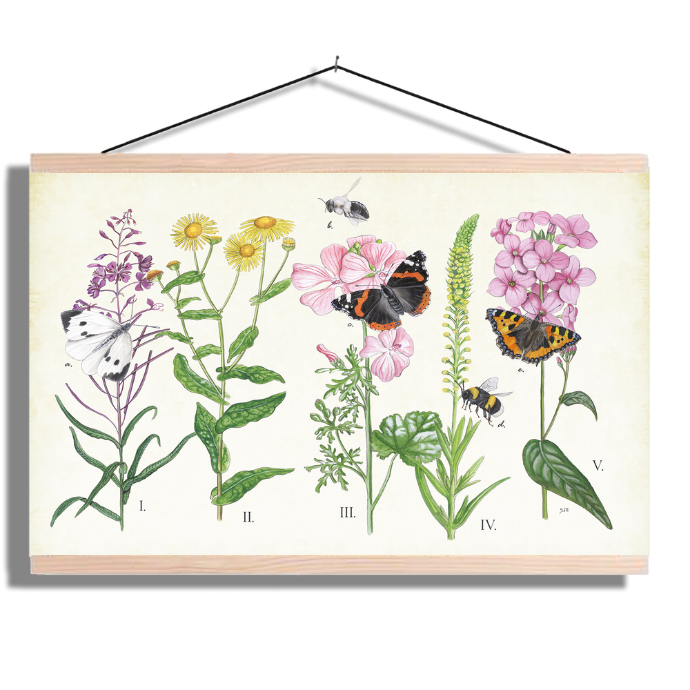 Schoolplaat "Planten en haar insecten"