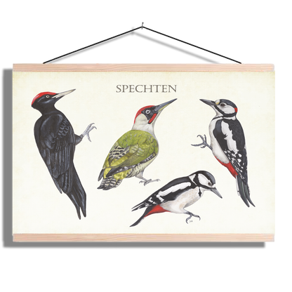 Schoolplaat "Spechten"