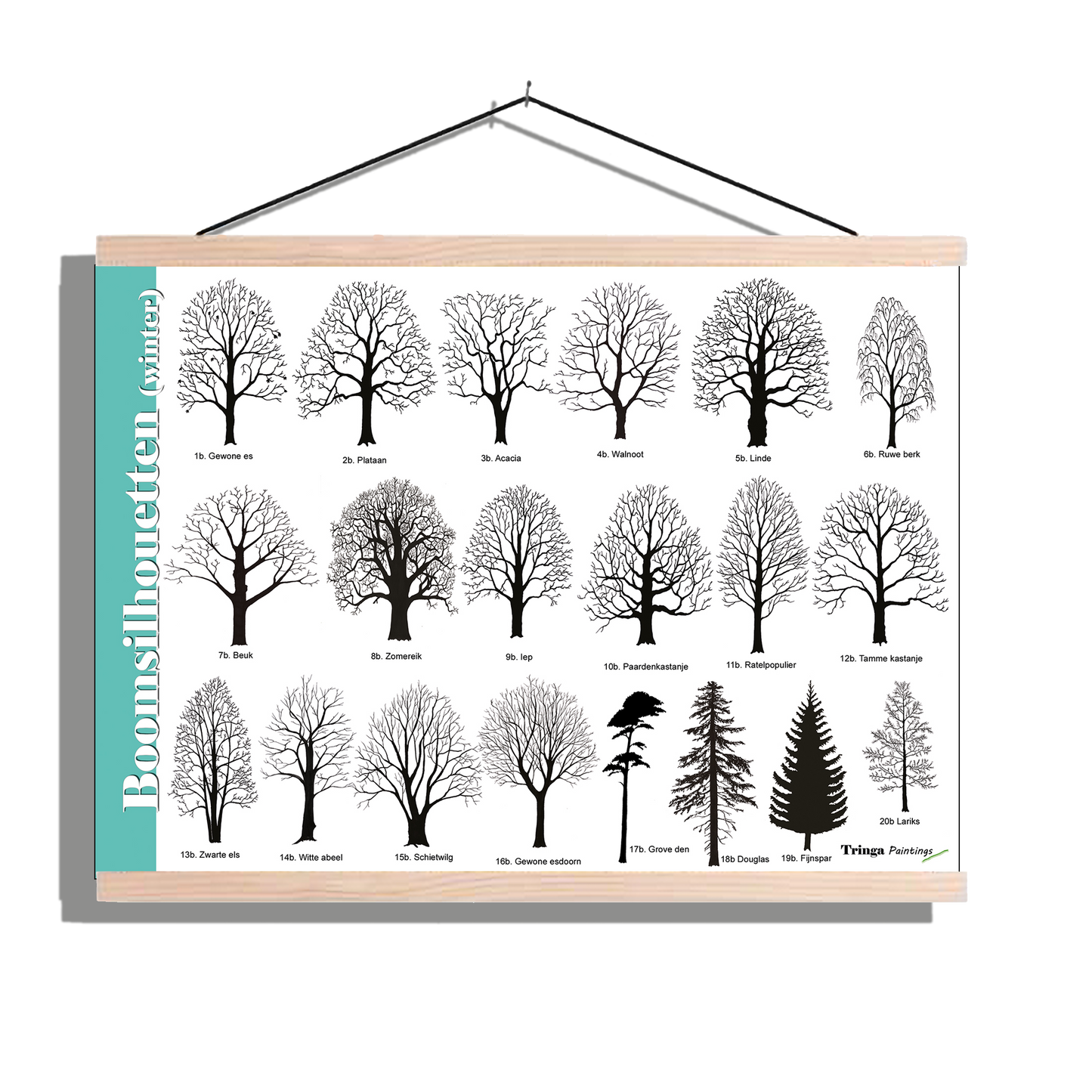Herkenningsposter "Boomsilhouetten (winter)"