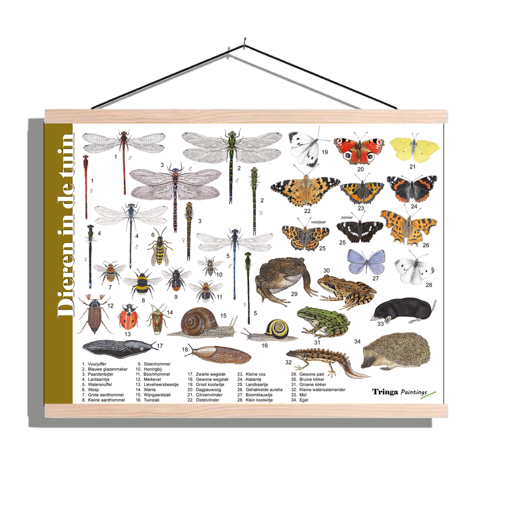 Herkenningsposter "Dieren in de tuin"